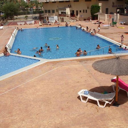 Acuarium 3 Studio - Zand Properties Benidorm Rom bilde